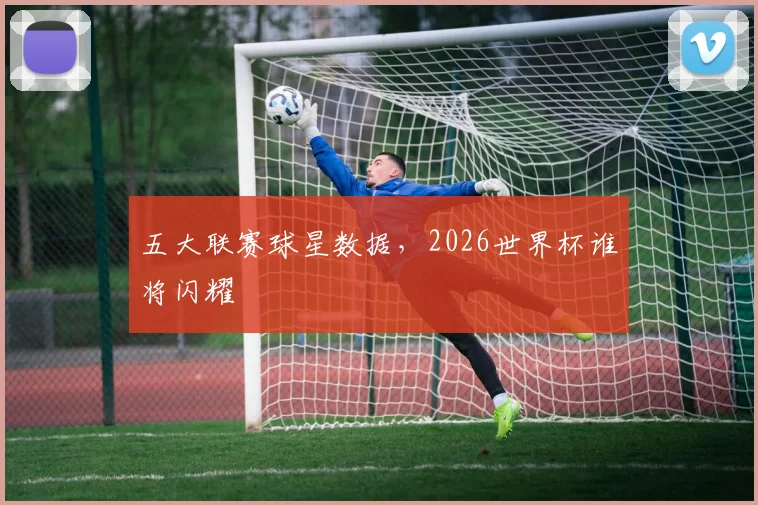五大联赛球星数据,2026世界杯谁将闪耀