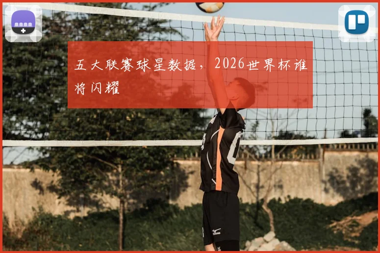 五大联赛球星数据,2026世界杯谁将闪耀